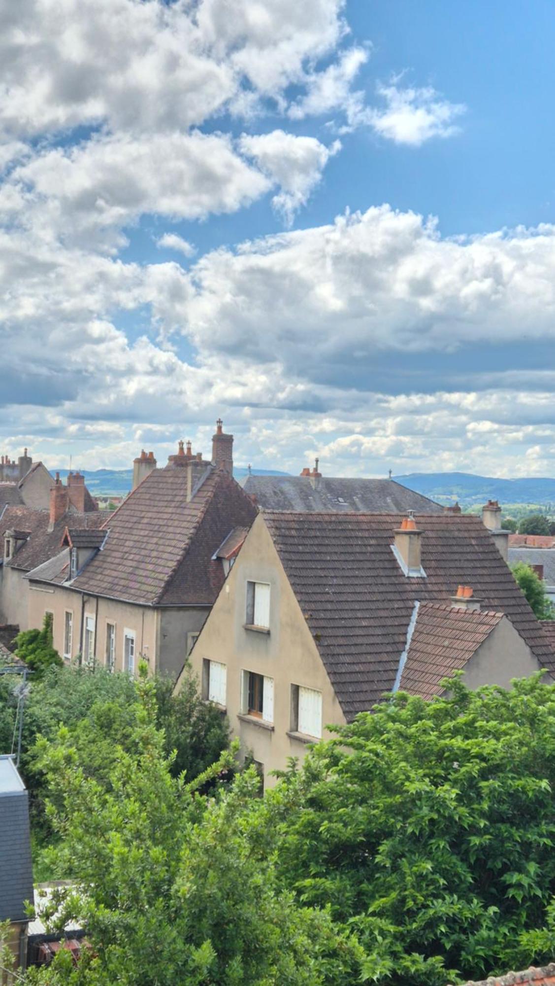 L'Arbre Voyageur Apartment Autun Bagian luar foto