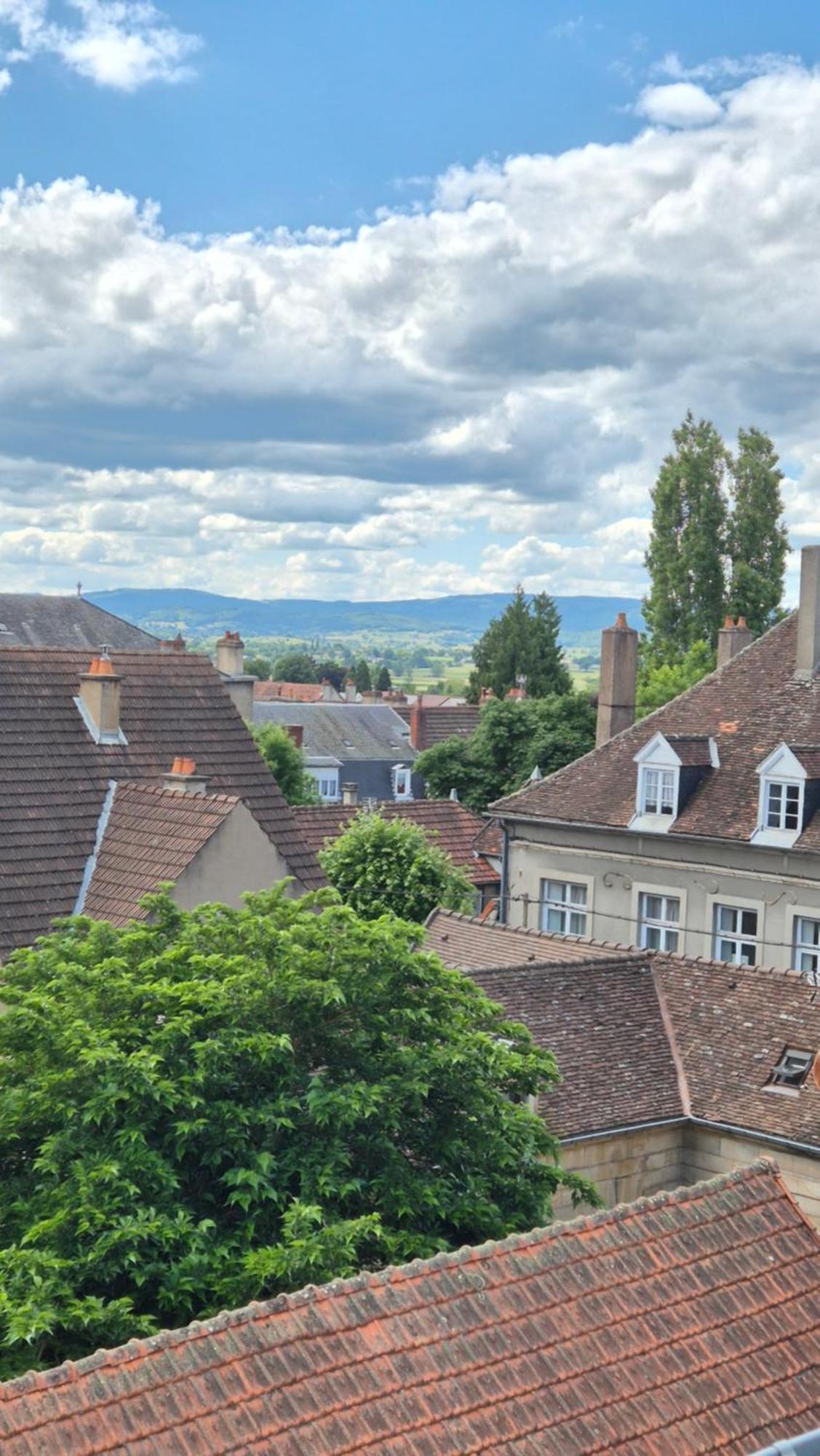 L'Arbre Voyageur Apartment Autun Bagian luar foto